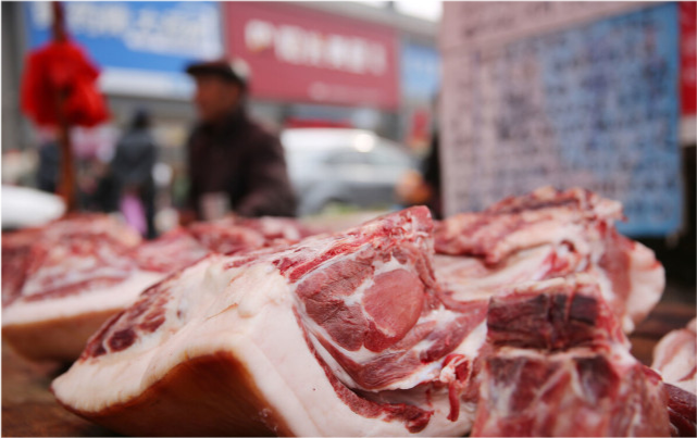 再迎断崖式下跌!今日猪价生猪价格表最新 9月24日猪肉价格多少钱一斤