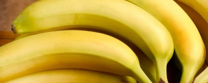 香蕉是水果吗？(香蕉是什么样的水果)-第2张图片-今日热点分享
