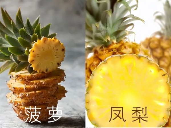 你不知道的菠萝：一个要长3年多、唯一会“吃肉”-第2张图片-今日热点分享