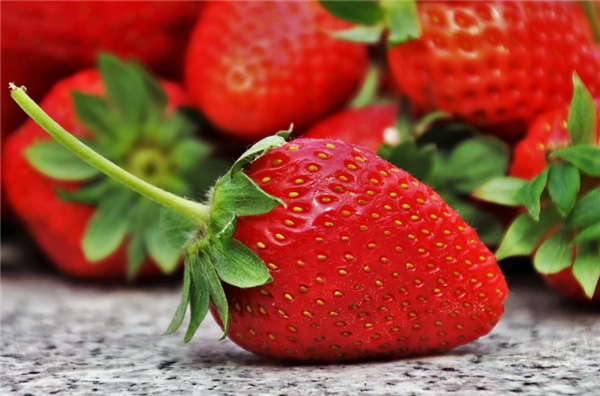 草莓是"最脏的水果"？如何洗草莓？很多人做错了-第1张图片-今日热点分享